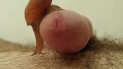 Bokep Baru Snail milks my cock 3gp