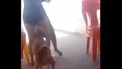 Video Bokep The dog want her mp4