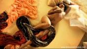 Bokep Full Bollywood and The Sexy Snake online