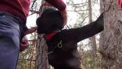 Nonton Video Bokep Tied to a tree on a sexy outfit comma masked and outdoor deepthroat with no mercy hot
