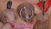 Vidio Bokep Sounding with cumshot period Urethral inserting toy kinky t period bdsm from Holland terbaik