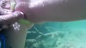 Vidio Bokep POV Almost Caught Risky Public Sex in Natural River till Facial period online