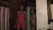 Download Film Bokep wild african safari cock sharing hot