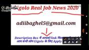 Bokep 2020 Gigolo Full Information gigolo jobs 2020 3gp