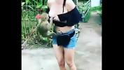 Bokep Video Monkey flashed girl 039 s boobs hot