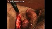 Bokep 2020 Bleeding cock and balls of slave gets hurt by beautiful mistress mp4