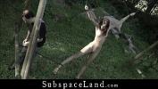 Bokep Hot Hairy naked pussy outdoors tied and buttocks whipped online