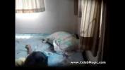 Bokep Hot After school sex