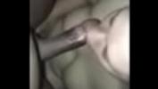 Video Bokep Wife foreplay blowjob online