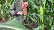 Download Video Bokep public risky raincoat sex in a cornfield projectfundiary 3gp online