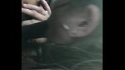 Nonton Video Bokep White girl does it right sucks and swallow