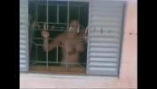 Video Bokep neighbour aunty nude working in kitched terbaik