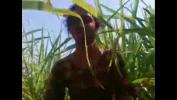 Bokep Video outdoor sexin field with village gi mp4