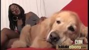 Bokep Full Sex with the dogs 3gp