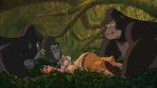 Bokep Online Tarzan 3gp