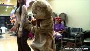 Download Bokep Party in the Salon with The One and Only DANCING BEAR excl lpar db8979 rpar mp4