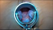 Vidio Bokep speculum play 8 min 2020