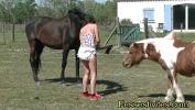 Link Bokep Kioki en couche avec les chevaux CLIP terbaru