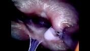 Bokep Hot endoscope full inside cock urethra with ejac cum comma the inner adventure gratis