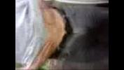 Nonton Video Bokep ja masturb mp4