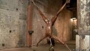 Bokep Hot Oiled ebony in inverted bondage toyed 3gp online