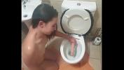 Bokep Toilet dildo slut gets slapped and drinks master apos s pee terbaru
