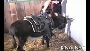 Download Video Bokep dom mistress and her farm of slaves hot
