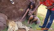 Bokep Ebony Couple fucking in Safari park hot