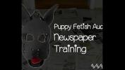 Bokep HD Become a dog and learn what the newspaper is for hot