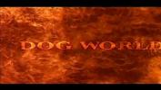 Download vidio Bokep Dog World DVD by Thagson dvdtrailertube period com mp4