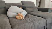 Download Video Bokep Camara oculta capto a su hijastra follada dentro del sofa mostrando las plantas de los pies online