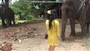 Bokep Terbaru Blowjob as a punishment 3gp online