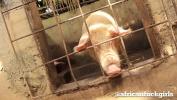 Vidio Bokep BEHIND THE PIG 3gp online