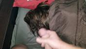 Link Bokep p period huge cumshot in hair