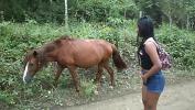 Download vidio Bokep big horse cock tiny young girl cum in pussy mp4