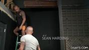 Film Bokep Muscular Gay Guy on a Ladder gets White Dick Exercise of a lifetime through Sean Harding apos s Charm mp4