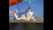 Film Bokep Tom n Jerry having funny animations 3gp