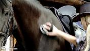 Bokep 2020 Aneta and Mya go down on each other at the horse ranch by Sapphic Erotica mp4