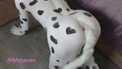 Video Bokep Cute Dalmatian Bitch On A Leash Sucks His Master A Big Dick hot