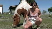Bokep 2020 cheval qui couche avec une femme 3gp