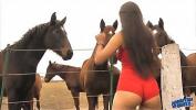 Bokep Full The Hot Lady Horse Whisperer Amazing Body Latina excl 10 Ass excl terbaru 2020