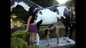 Bokep Mobile Riding cow girls