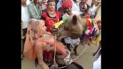 Bokep HD camel sucked boobs of rajasthani girl hot