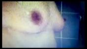 Bokep HD Found video of wife taking shower in honeymoon hot