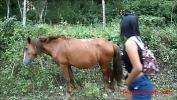 Download Video Bokep heatherdeep peeing next to horse in jungle 3gp online