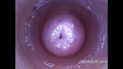 Film Bokep Live View From Inside Her Pussy In Front Of Her Fans 3gp online