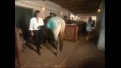 Bokep Terbaru Sensual brunette banged in the horse stable hot