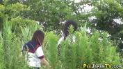 Nonton Film Bokep Japanese teen skanks pee hot