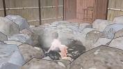 Bokep HD Toyota Nono I took a bath in a hot spring without a towel and my boobs fell out period 【onsen】 terbaru