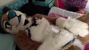 Bokep Terbaru Furry girl rides vibrator to orgasm mp4